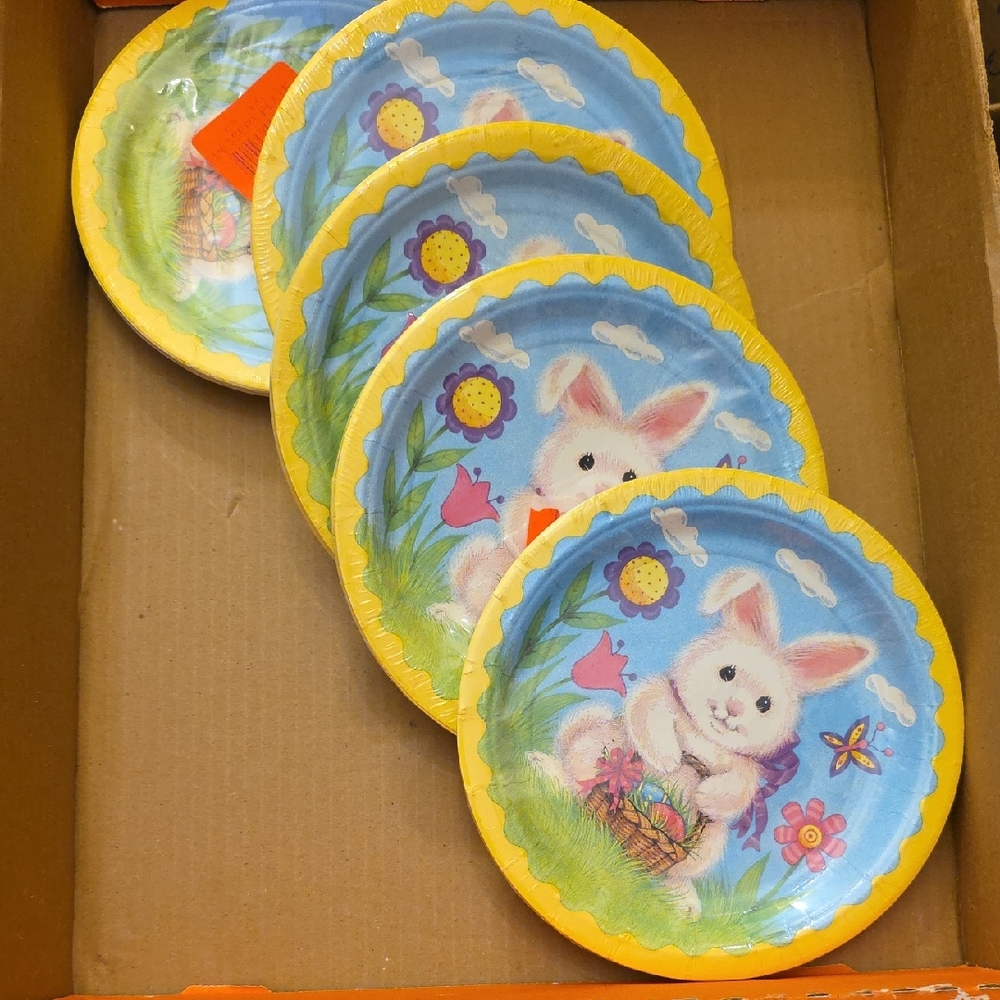 Set Of 5 - Easter Bunny Party 7 Inch Plates - 60 Total